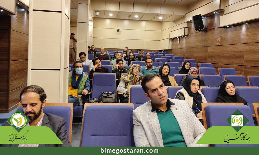 بیمه کارآفرین شعبه قم